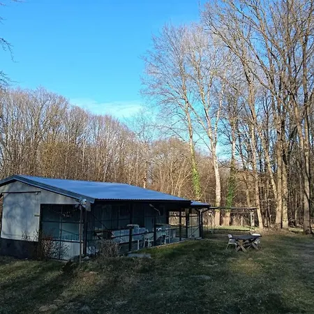 With Charm * Niederdorla